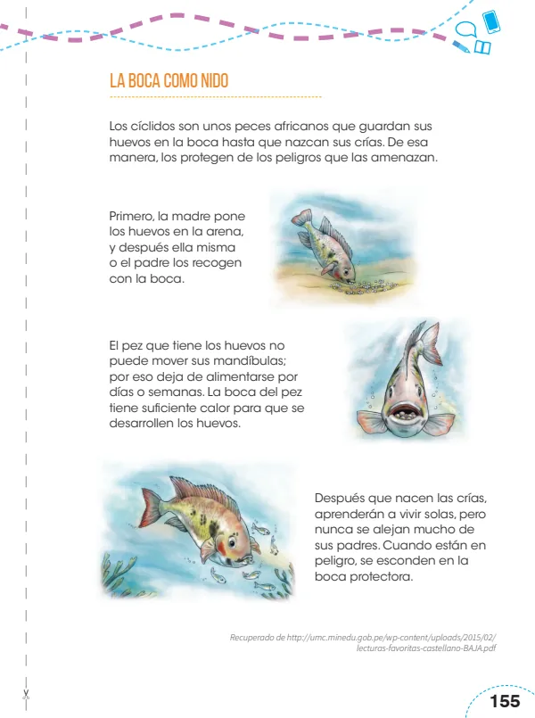 La boca como nido - 4.° grado de Primaria (MINEDU) PDF 1 Portada de La boca como nido - 4.° grado de Primaria - MINEDU