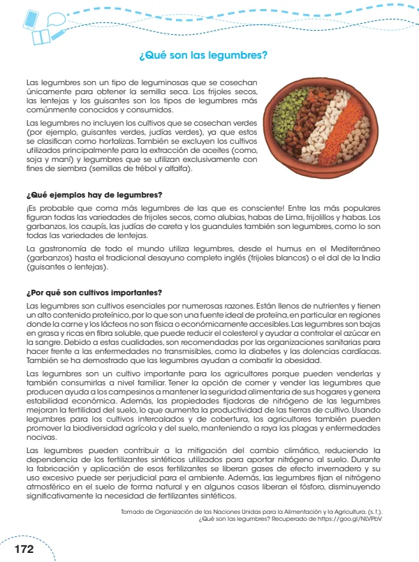 ¿Qué son las legumbres? - 5.° grado de Primaria (MINEDU) PDF 1 Portada de ¿Qué son las legumbres? - 5.° grado de Primaria - MINEDU